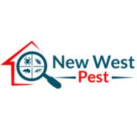 New West Pest image 4